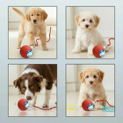 Interactive 360° Smart Rolling Pet Toy Ball