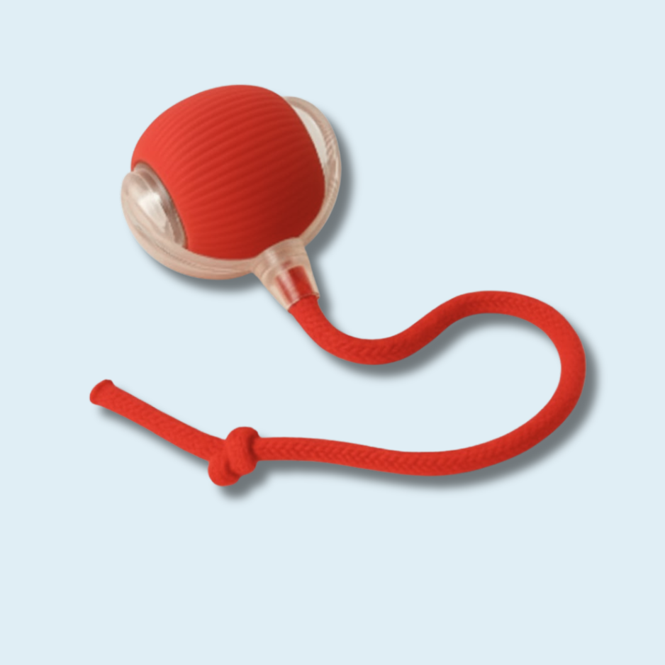 Interactive 360° Smart Rolling Pet Toy Ball